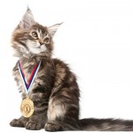 CatMedal
